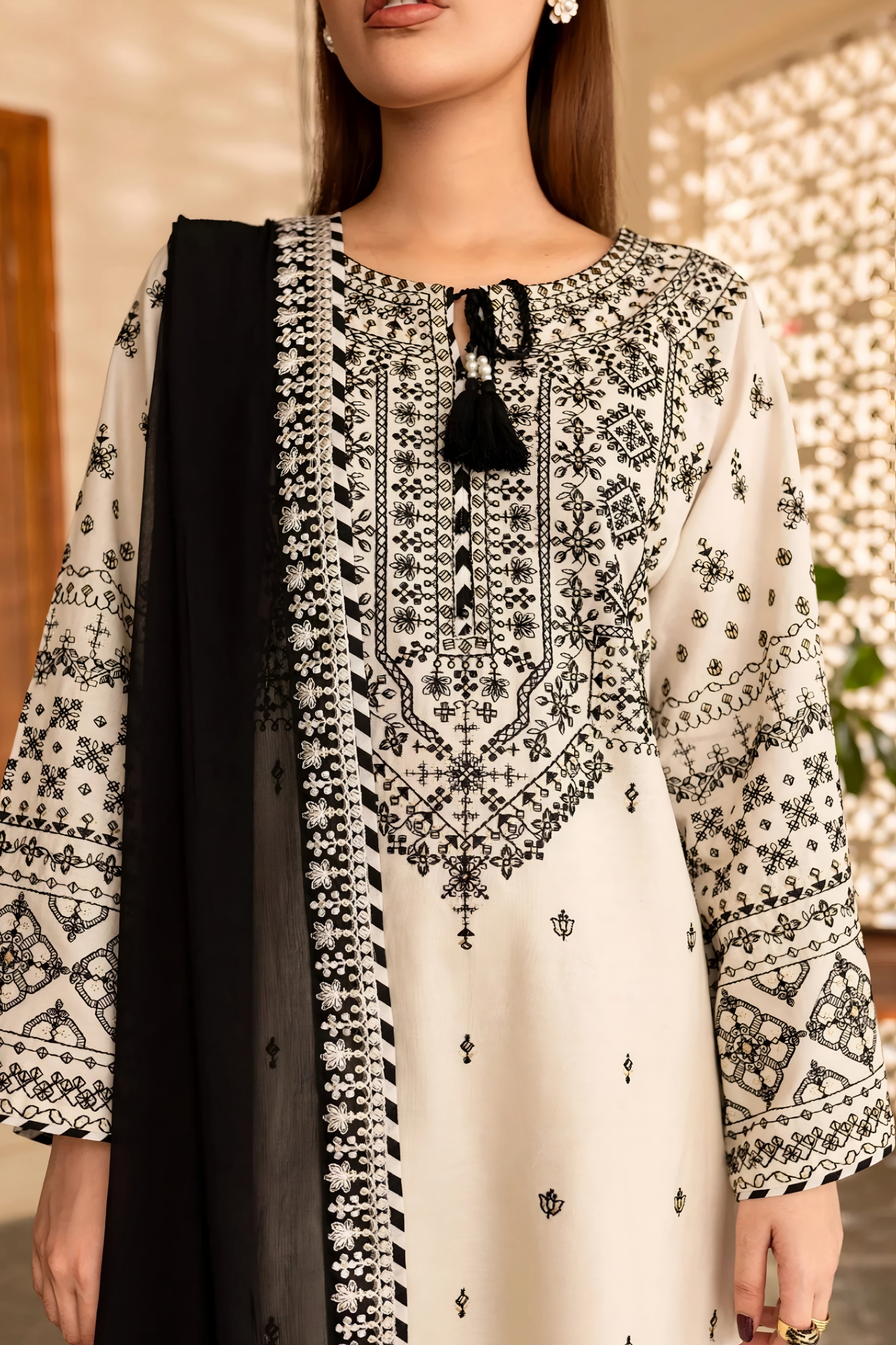 Arfa Embroidered 3-Piece